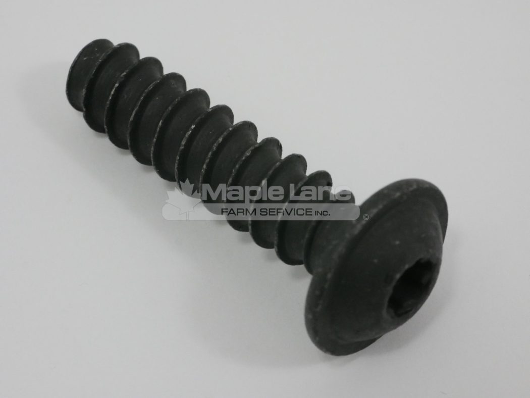 72426668 Oval Head Screw M10 x 40