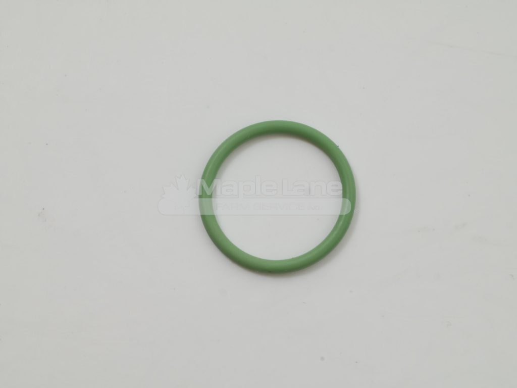 72455381 O-Ring