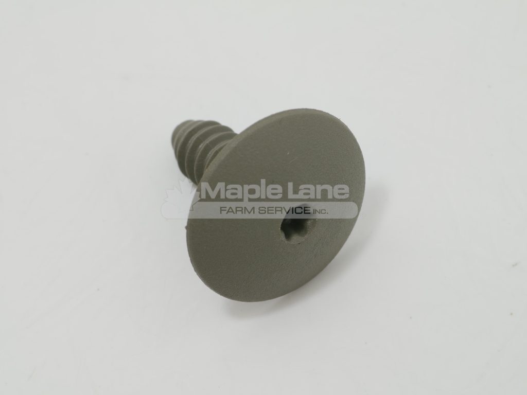 72476445 Gray Cap Screw