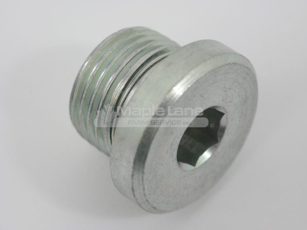 72476896 Plug Screw