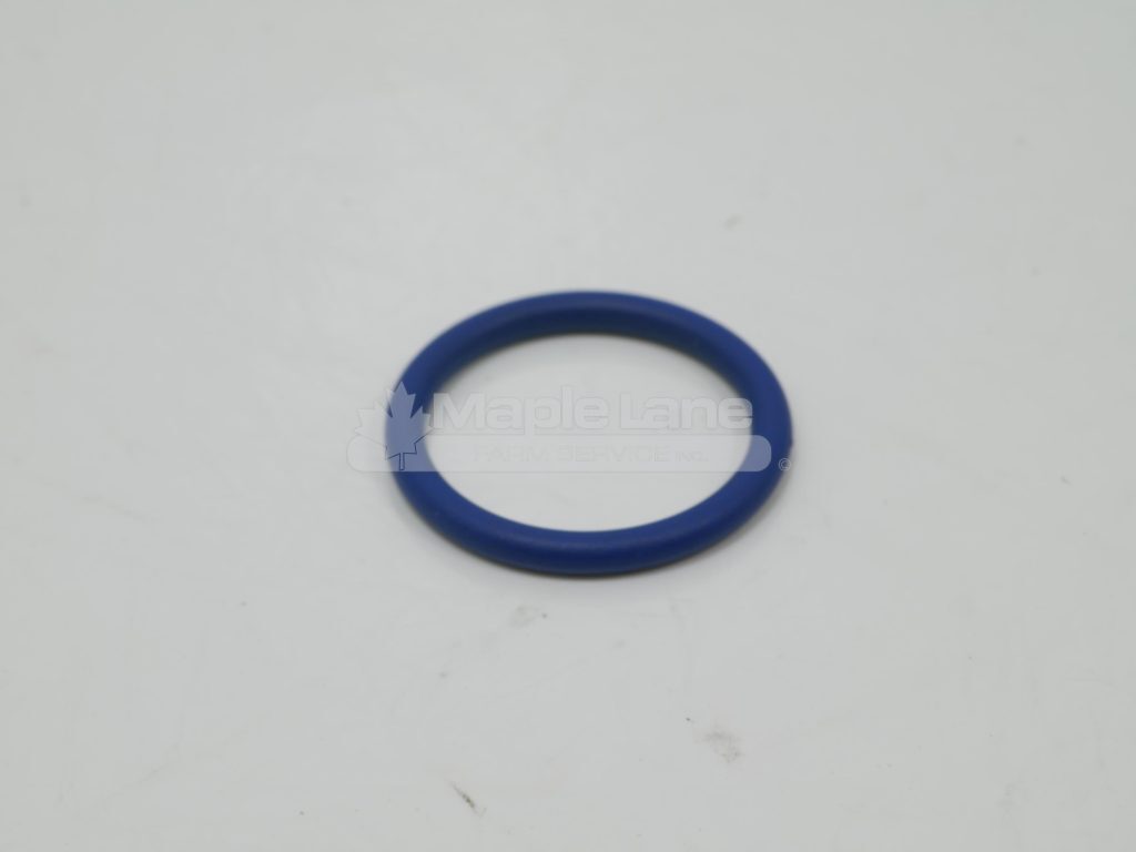 72485745 Sealing Washer