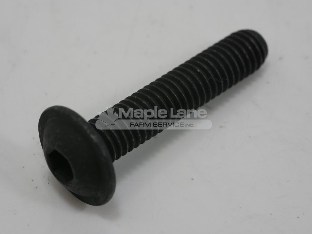 72492416 Oval Head Screw DIN 7381