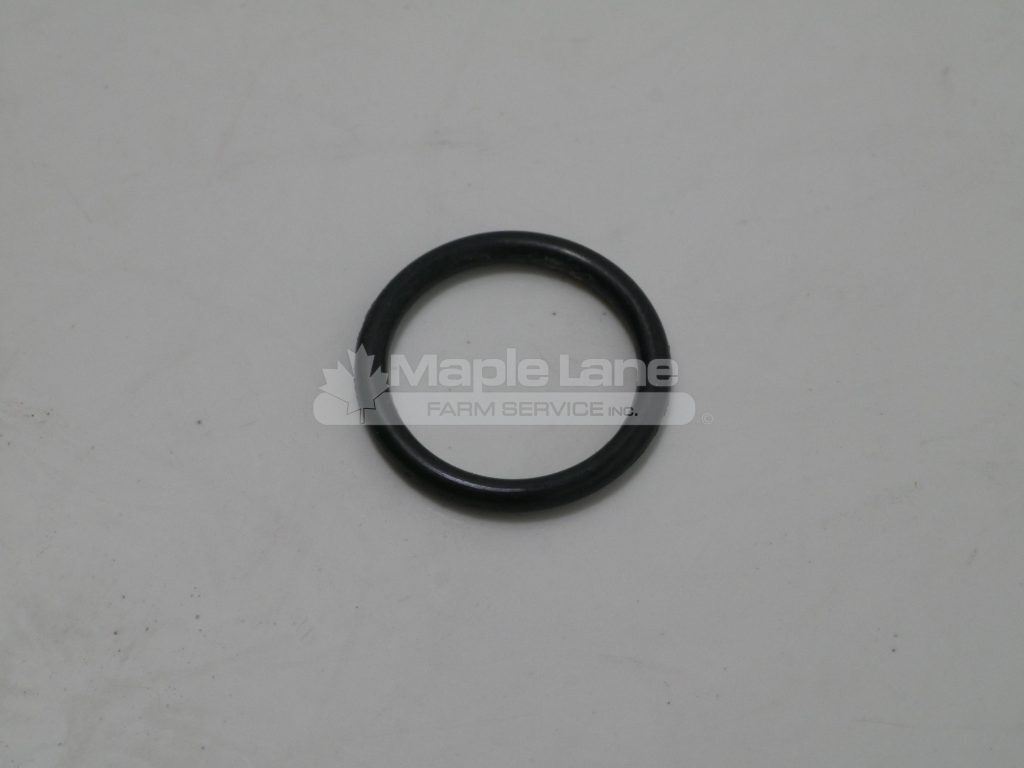72493820 O-Ring