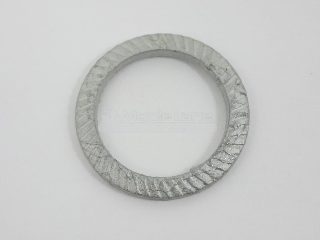 72602014 Lock Washer