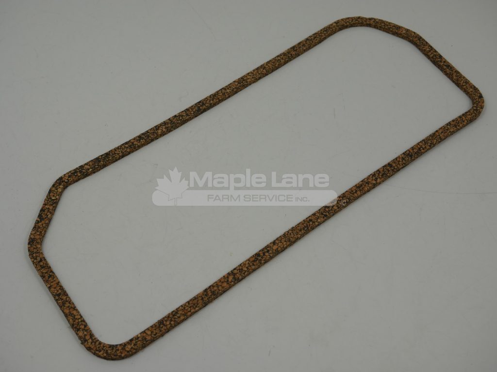 731273V1 Gasket