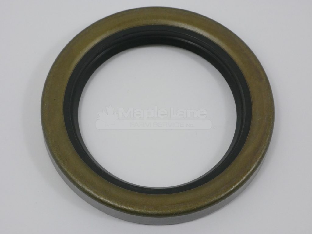 843893M1 Oil Seal