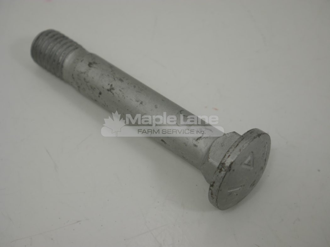 SN10818 Carriage Bolt