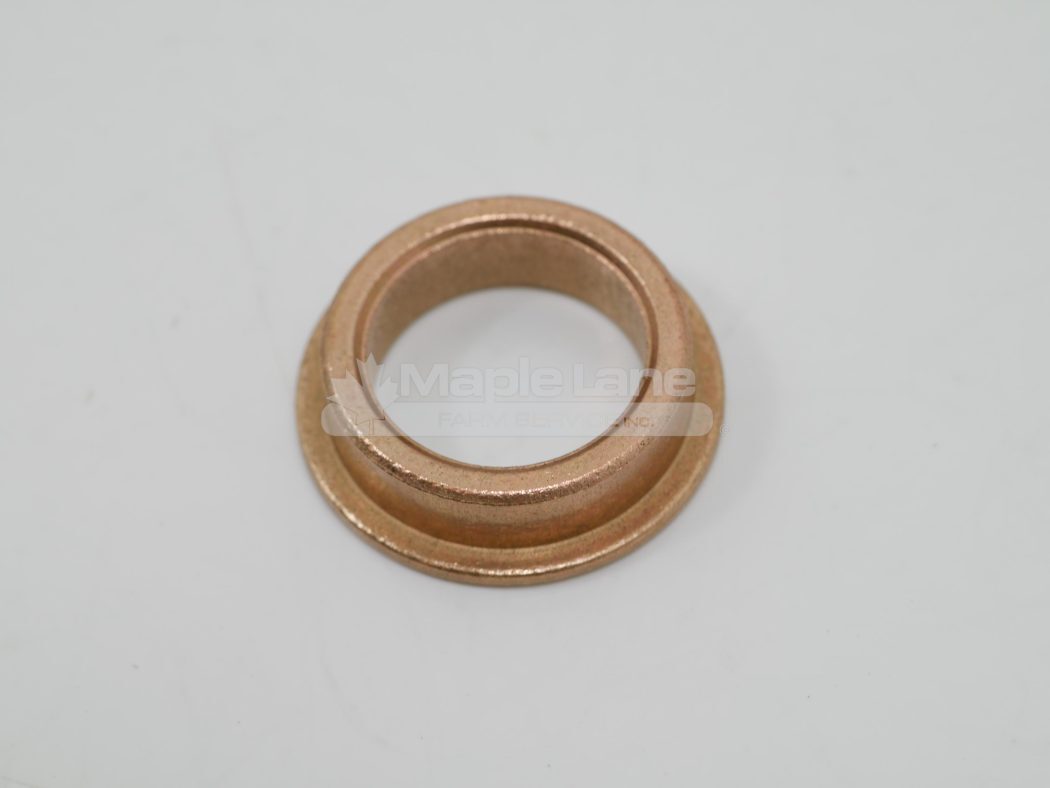 128316 Bronze Bearing