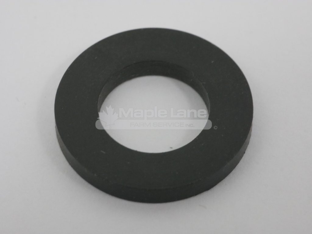 242370 Backing Washer