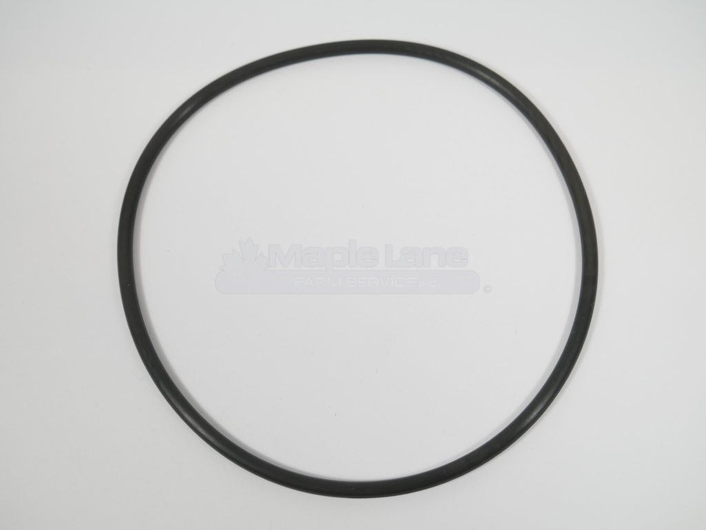 24260700 O-Ring 101.19x3