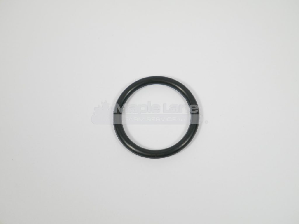 24263000 O-Ring