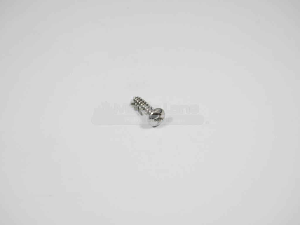 440665 Stainless Screw
