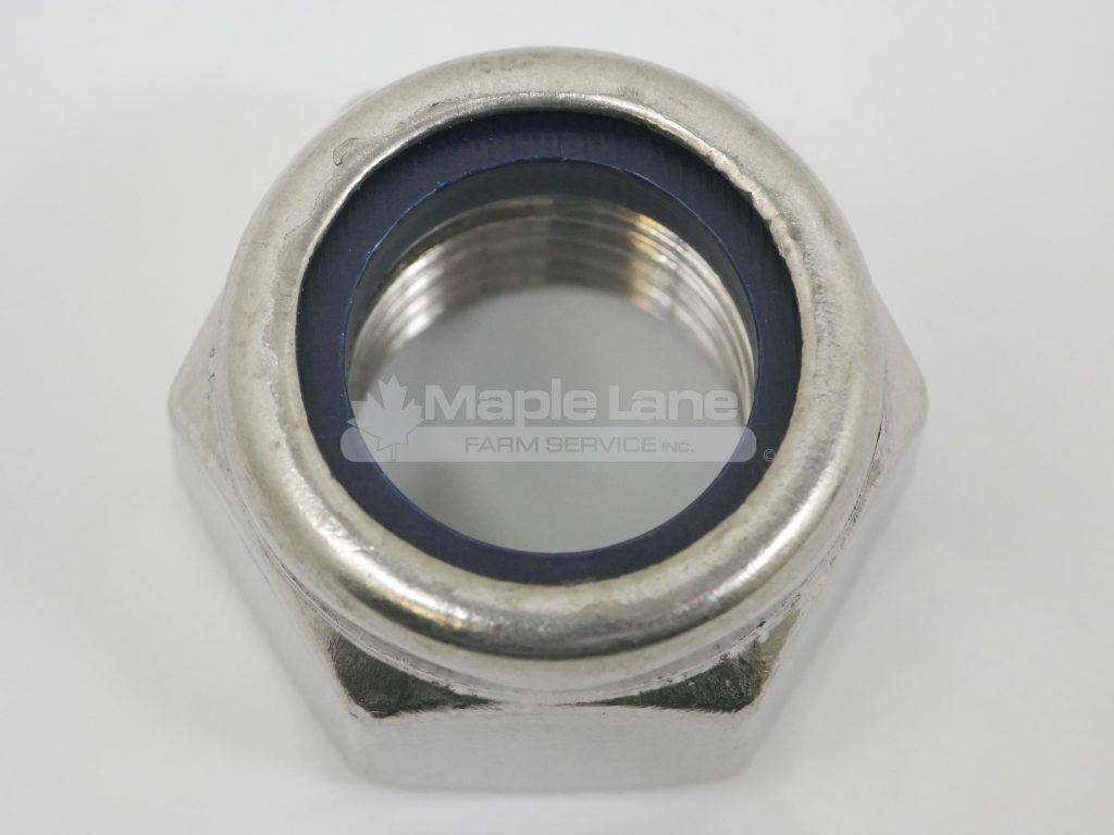 460806 Hex Nut M20-2.5