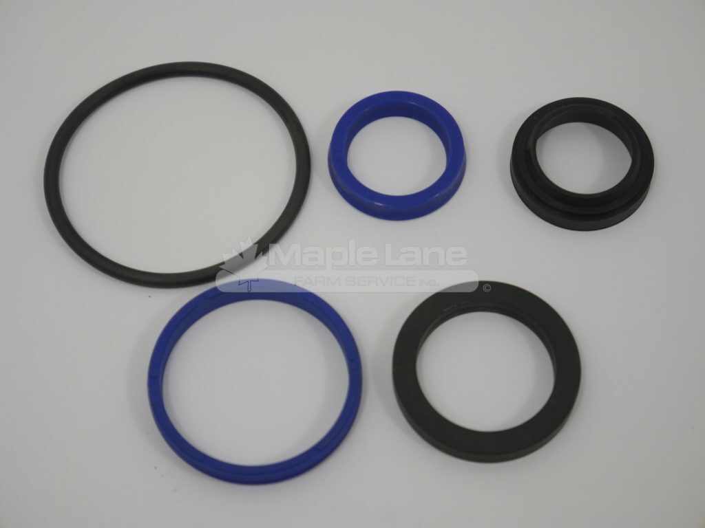 750248 Hydraulic Cylinder Seal Kit