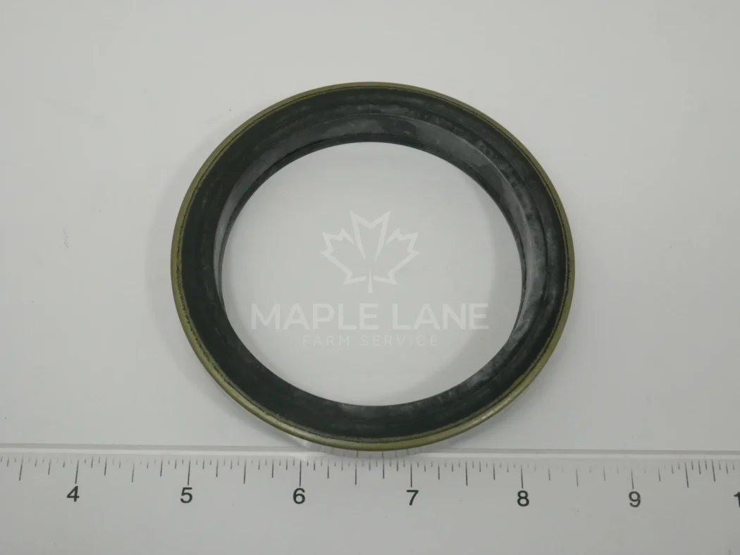 163101A Oil Seal