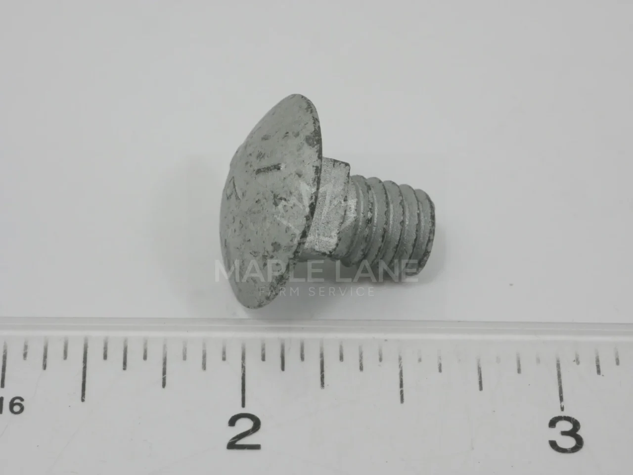 7770282 Carriage Bolt