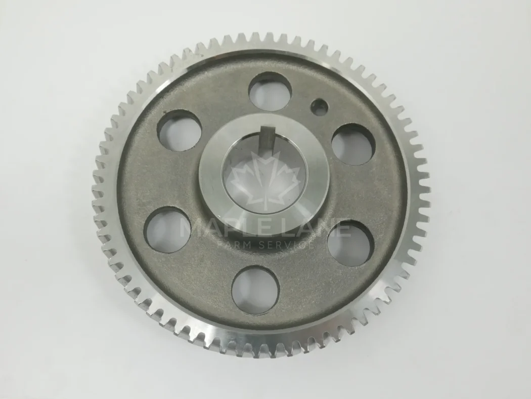 ACP0316000 Crankshaft Gear