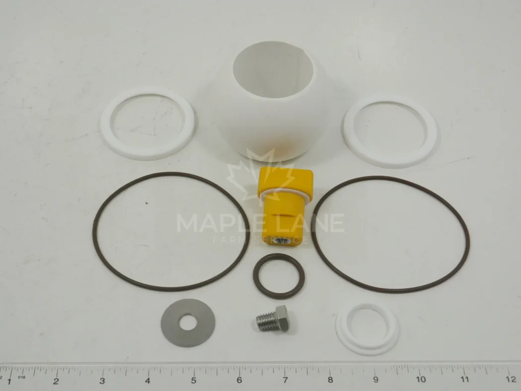 AG055789 Banjo Valve Repair Kit