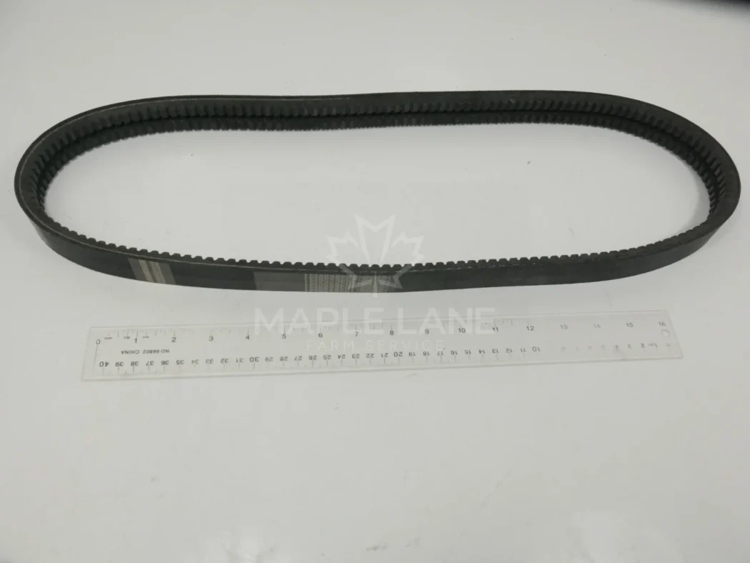 1036258M1 Belt