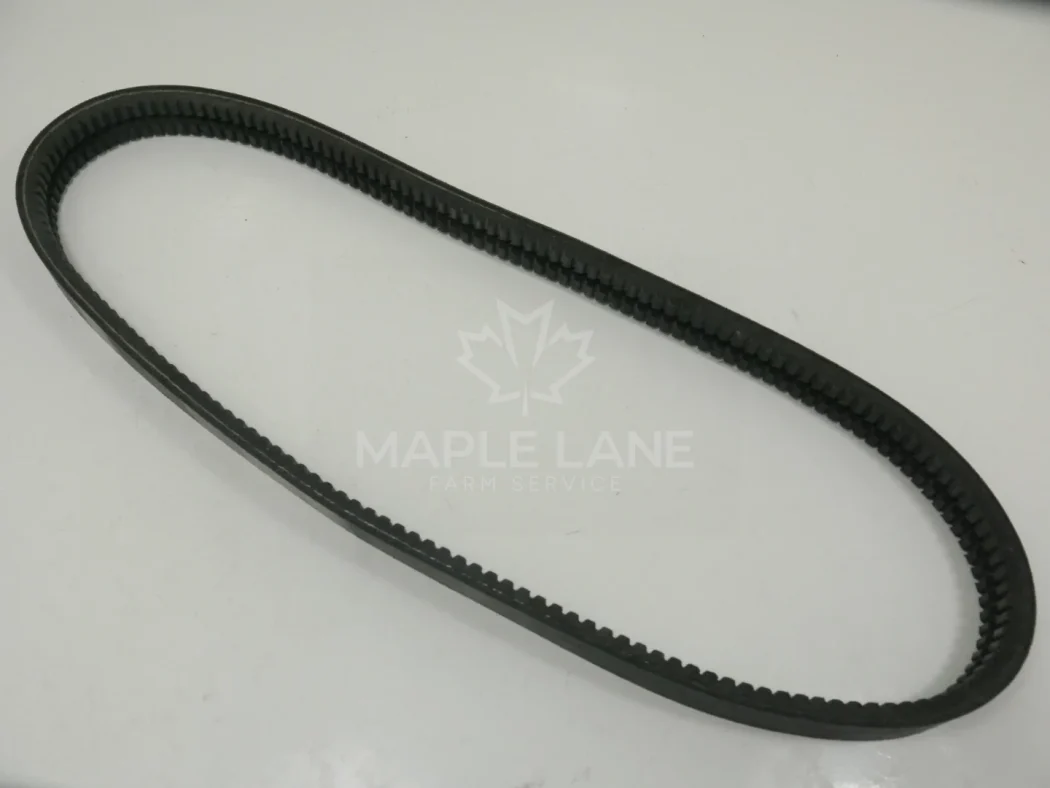 1036258M1 Belt