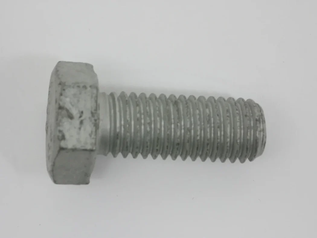 3009506X1 Hex Cap Screw