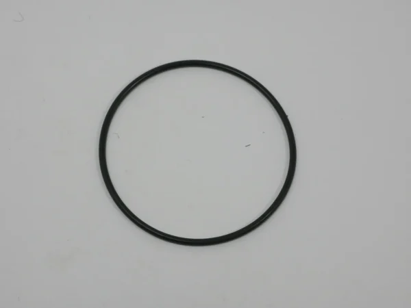 364281X1 O-ring