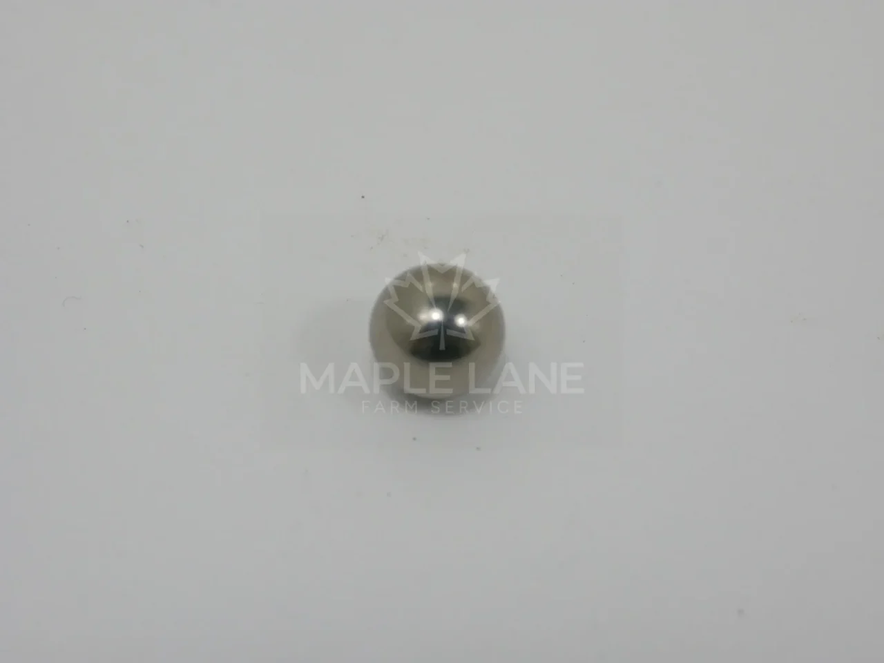 72310171 Stainless Ball