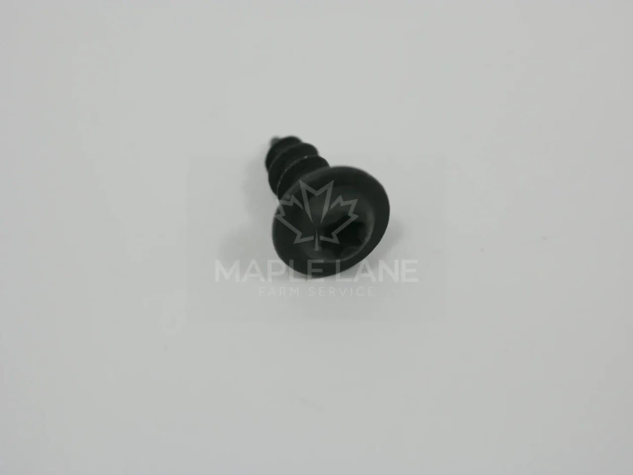 72422427 Ovel Head Screw