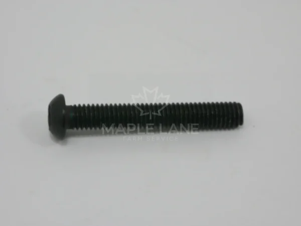 72492734 Oval Headed Screw