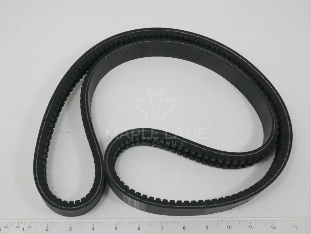 856674 Cogged Double Belt