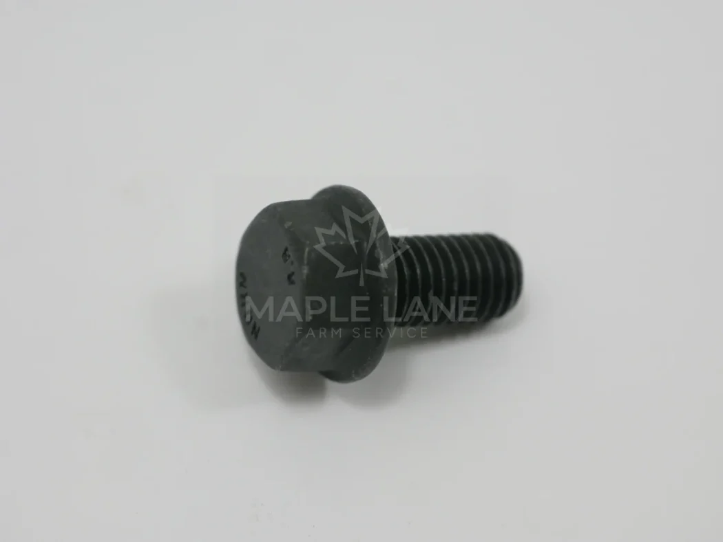 ACW0775900 hex flange bolt