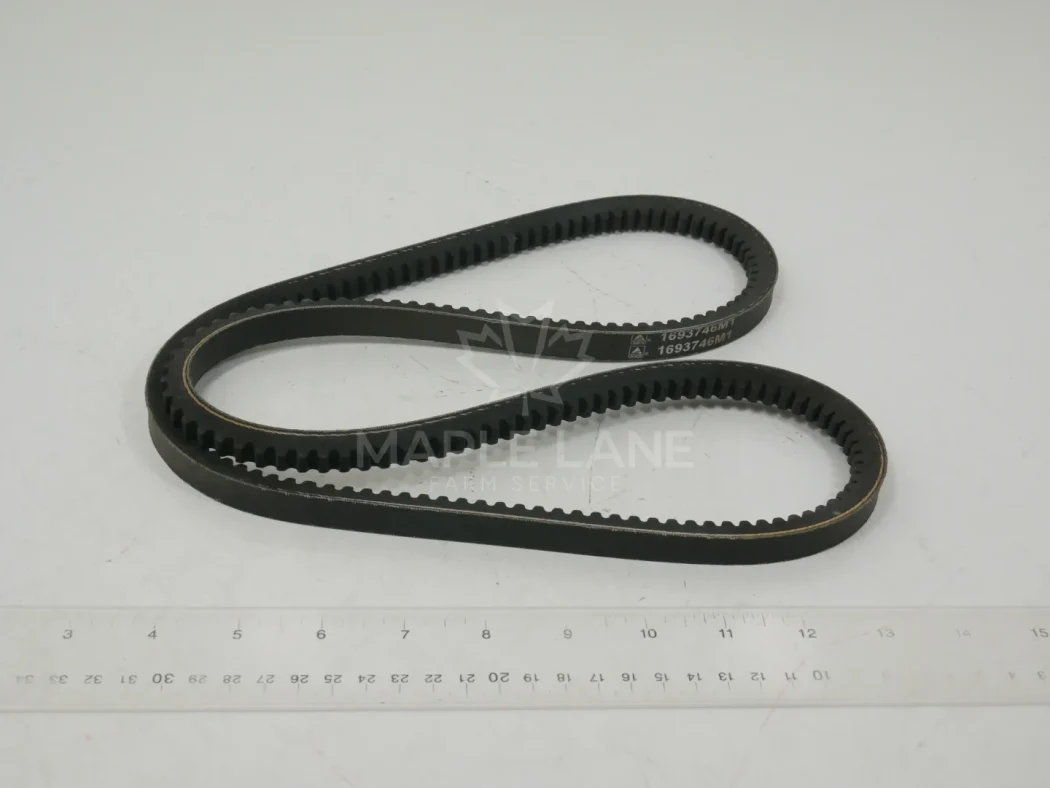 1693746M1 Belt