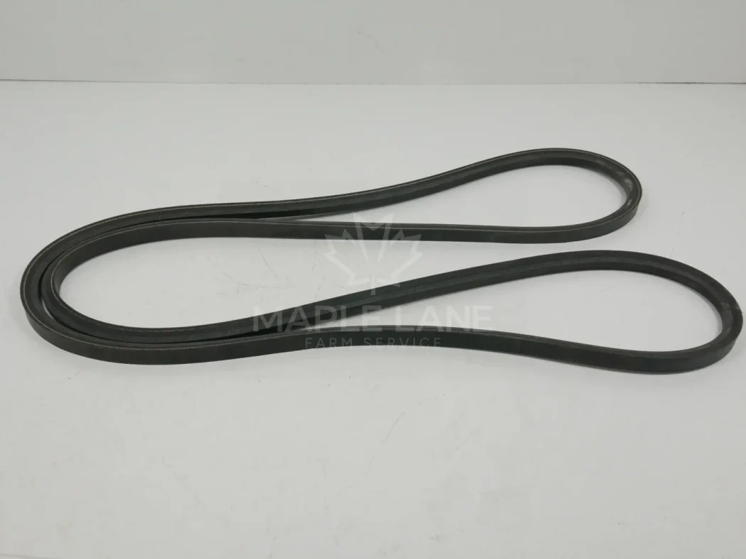 531316M1 Belt