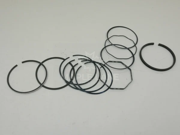 745818M91 piston ring kit