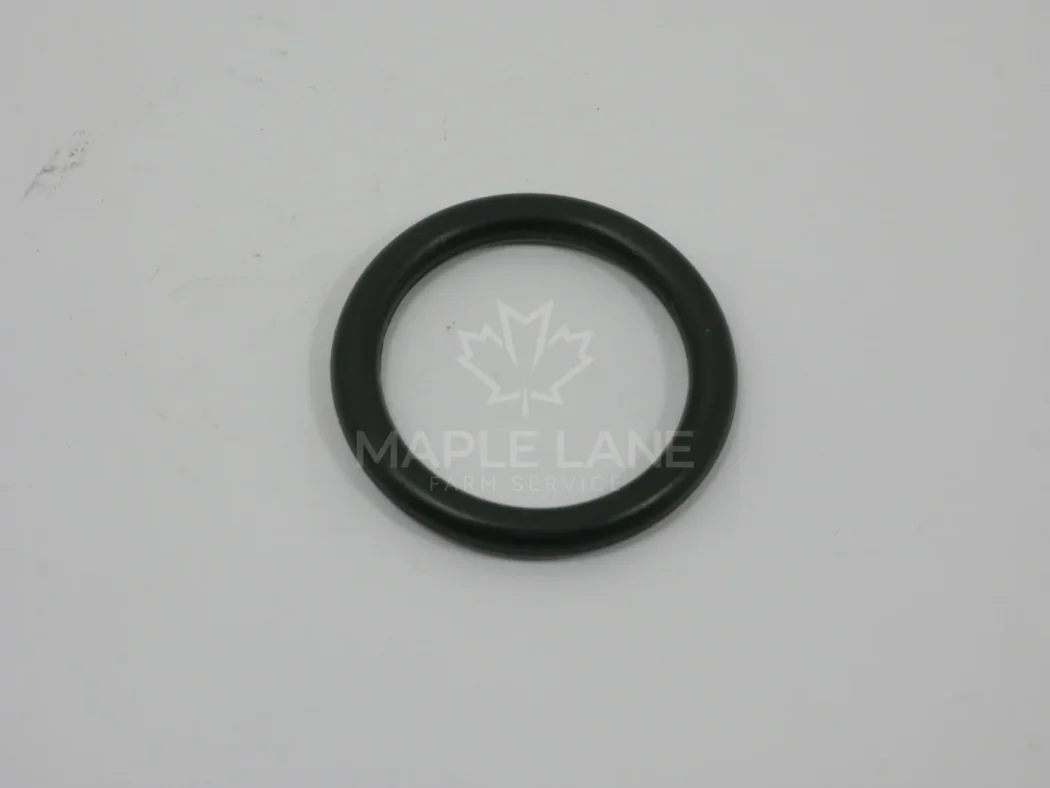 VA028519 o-ring