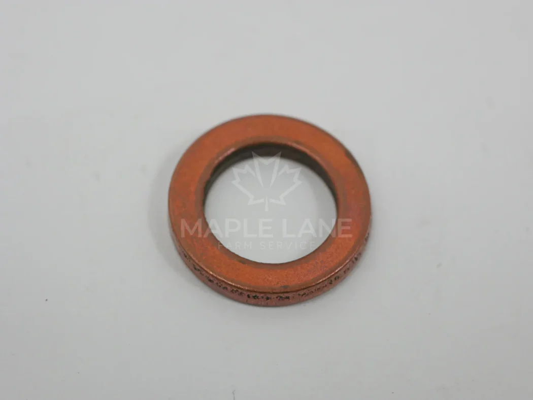 243022 Copper Washer