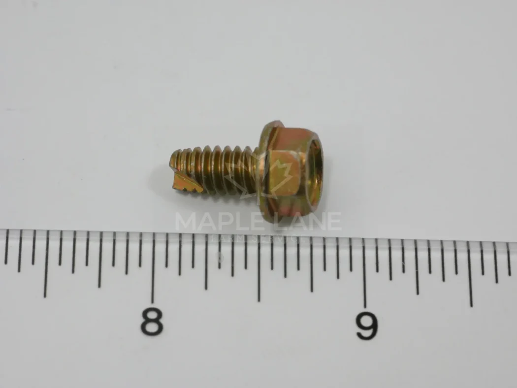 650315 Screw