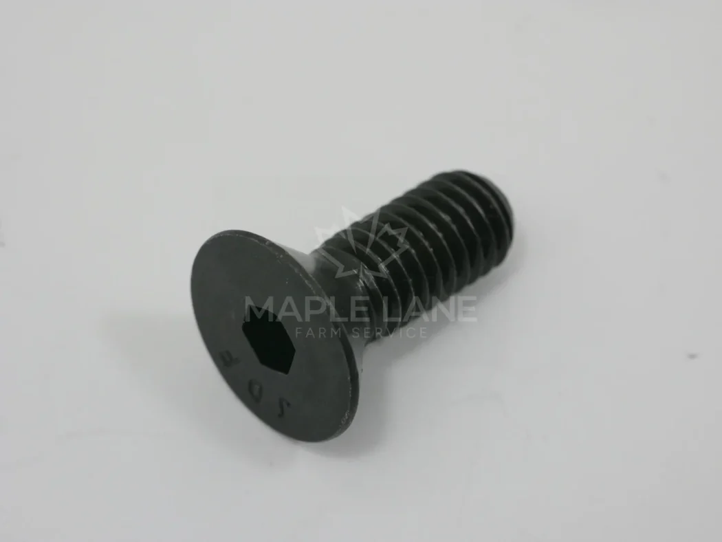 650801 Flat Head Screw