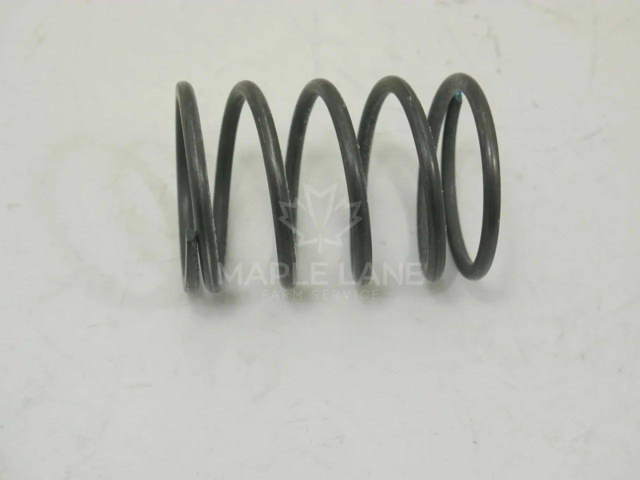 72420425 Spring
