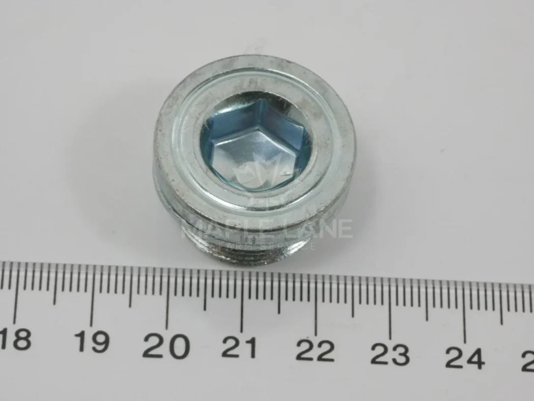 ACP0278860 MAGNETIC PLUG