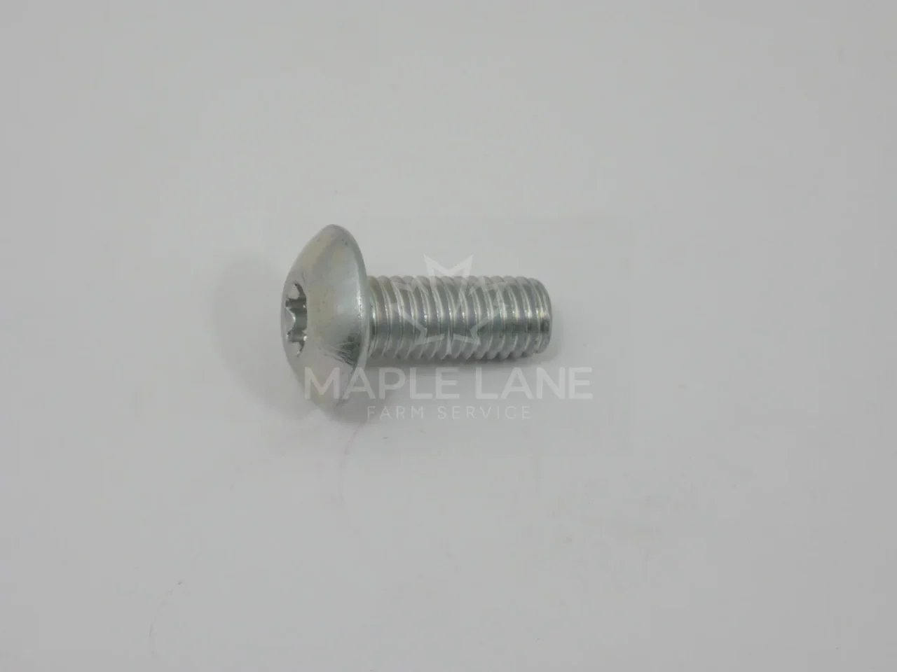 320190 Torx Head Screw