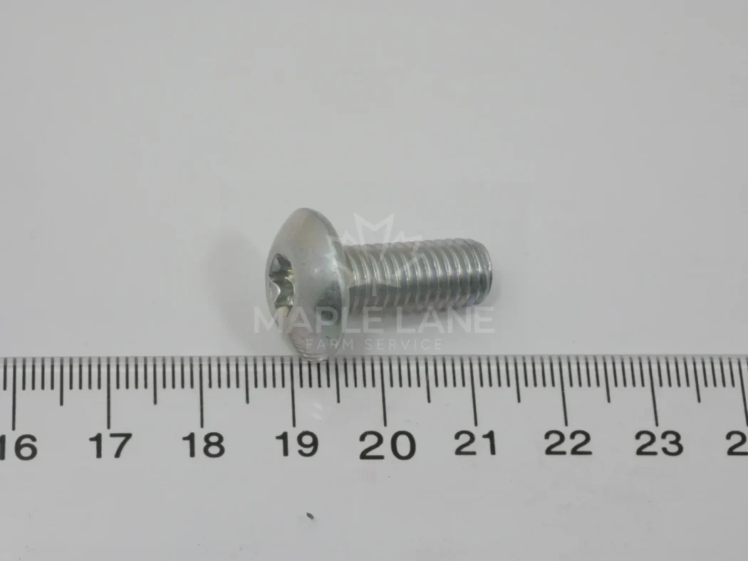 320190 torx screw