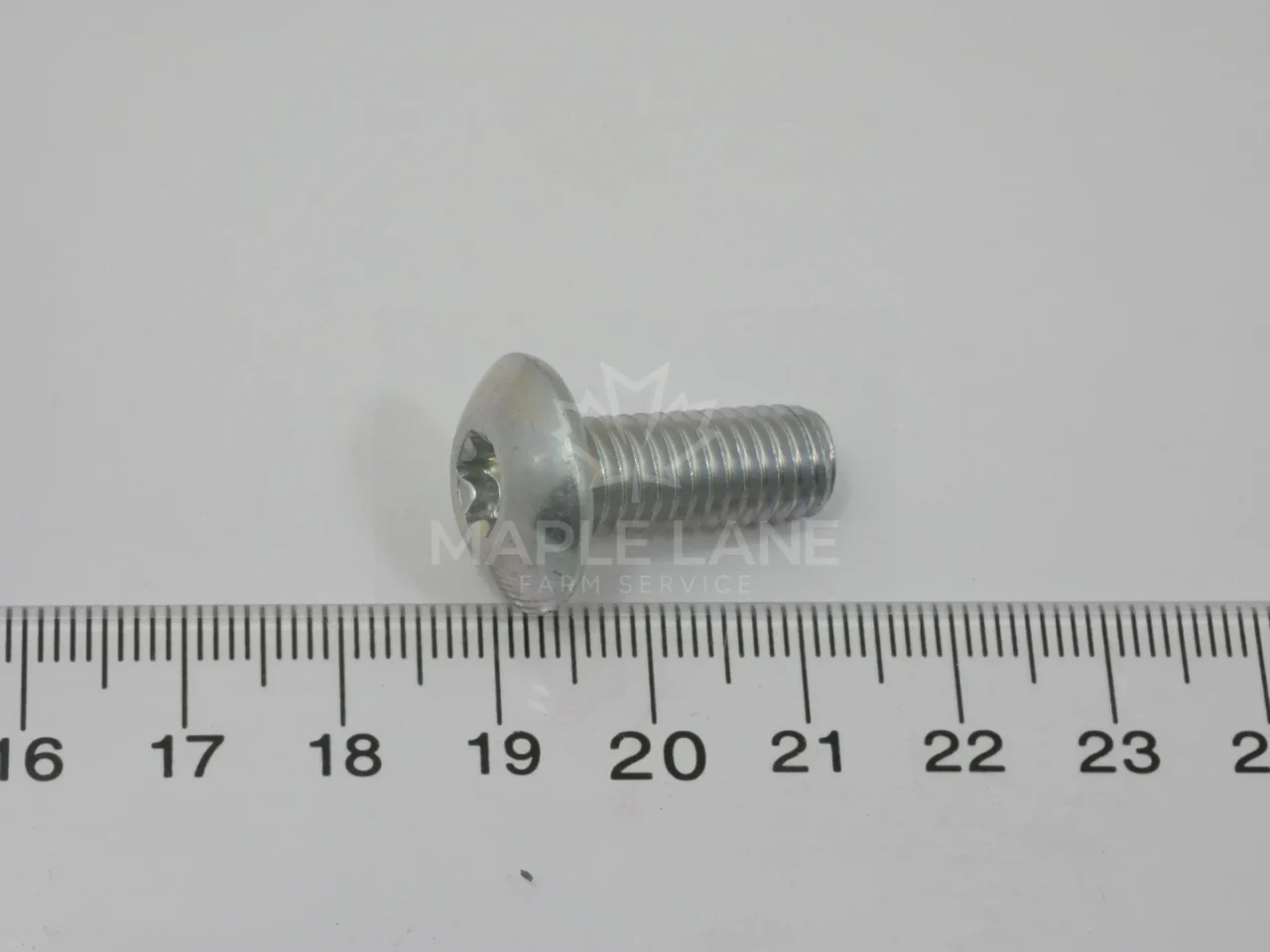 320190 Torx Head Screw