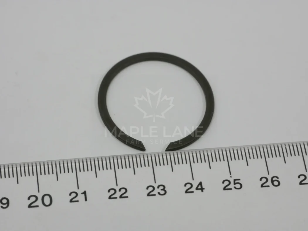 3010624X1 ring