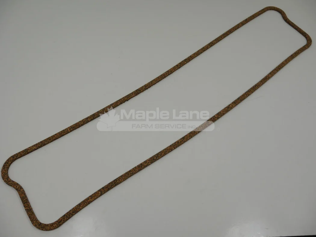 4223925V1 Gasket