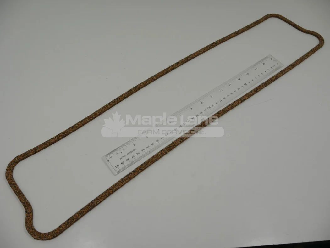 4223925V1 Gasket