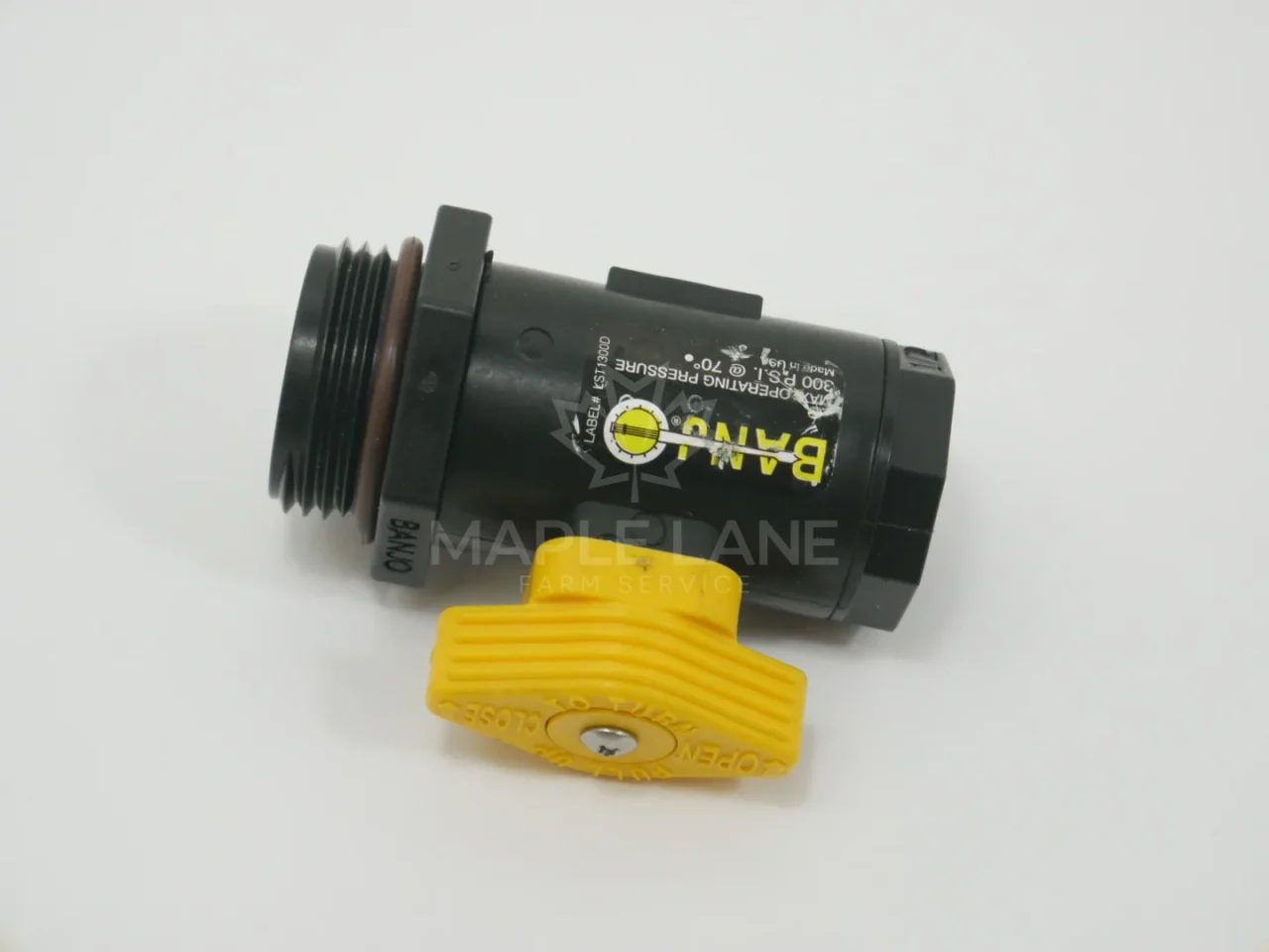 588806D2 Banjo LV050100MTLV Valve
