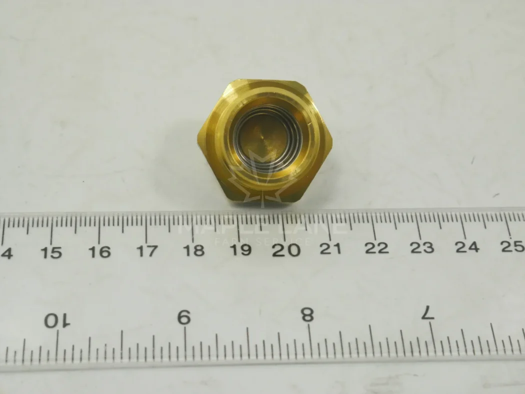 604664D1 drain valve