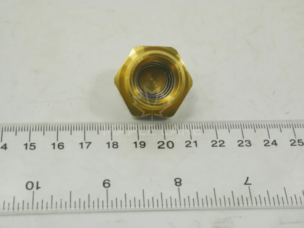 604664D1 Drain Valve