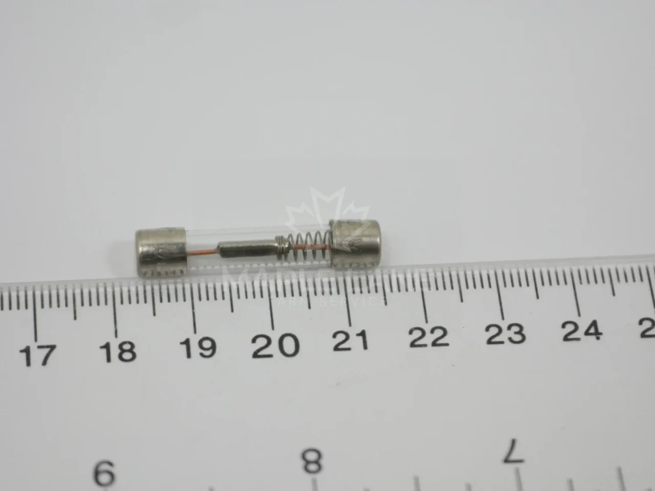 8025645 Slow Blow Fuse